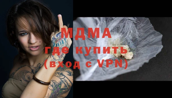 шишки Горняк
