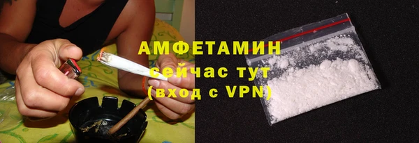 шишки Горняк