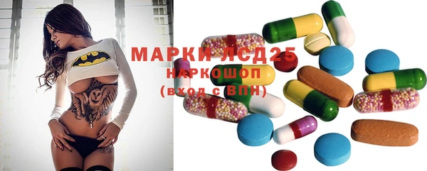 шишки Горняк