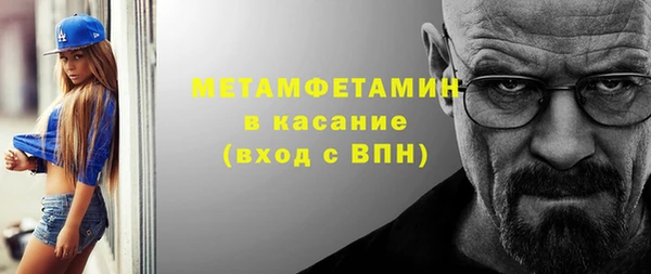 шишки Горняк