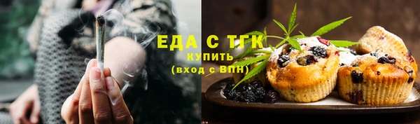 шишки Горняк