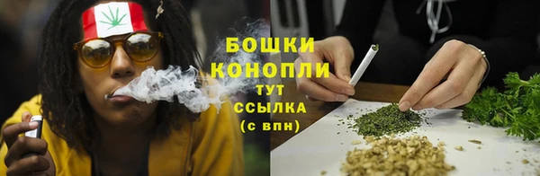 2c-b Горно-Алтайск