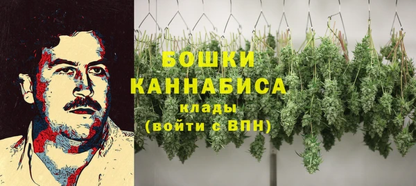 крисы Горнозаводск