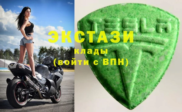 мдпв Гусев