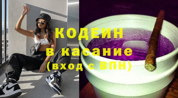 шишки Горняк