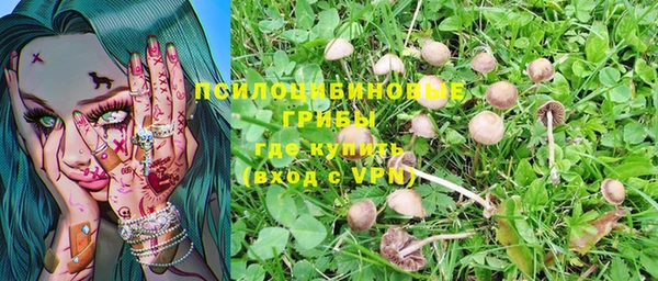 шишки Горняк