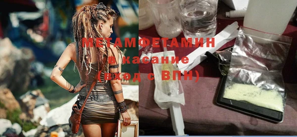 шишки Горняк