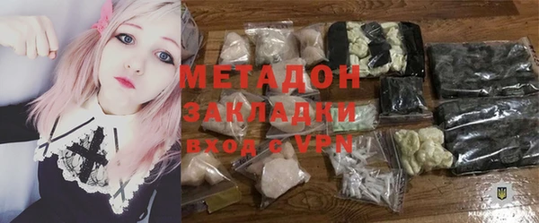 шишки Горняк