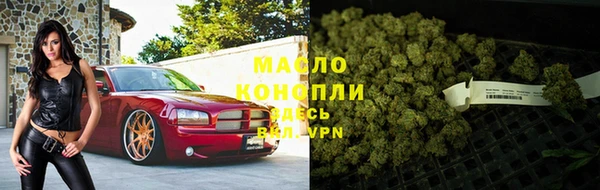 шишки Горняк