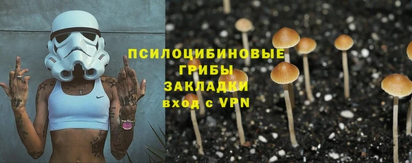 крисы Горнозаводск