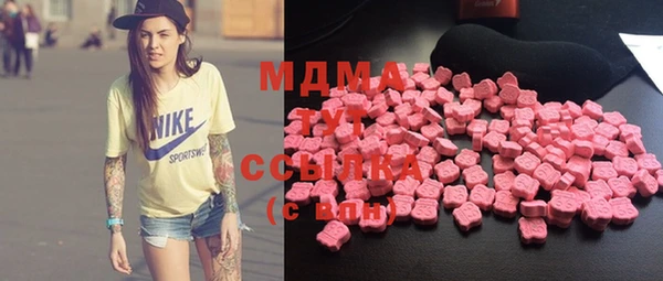 мдпв Гусев